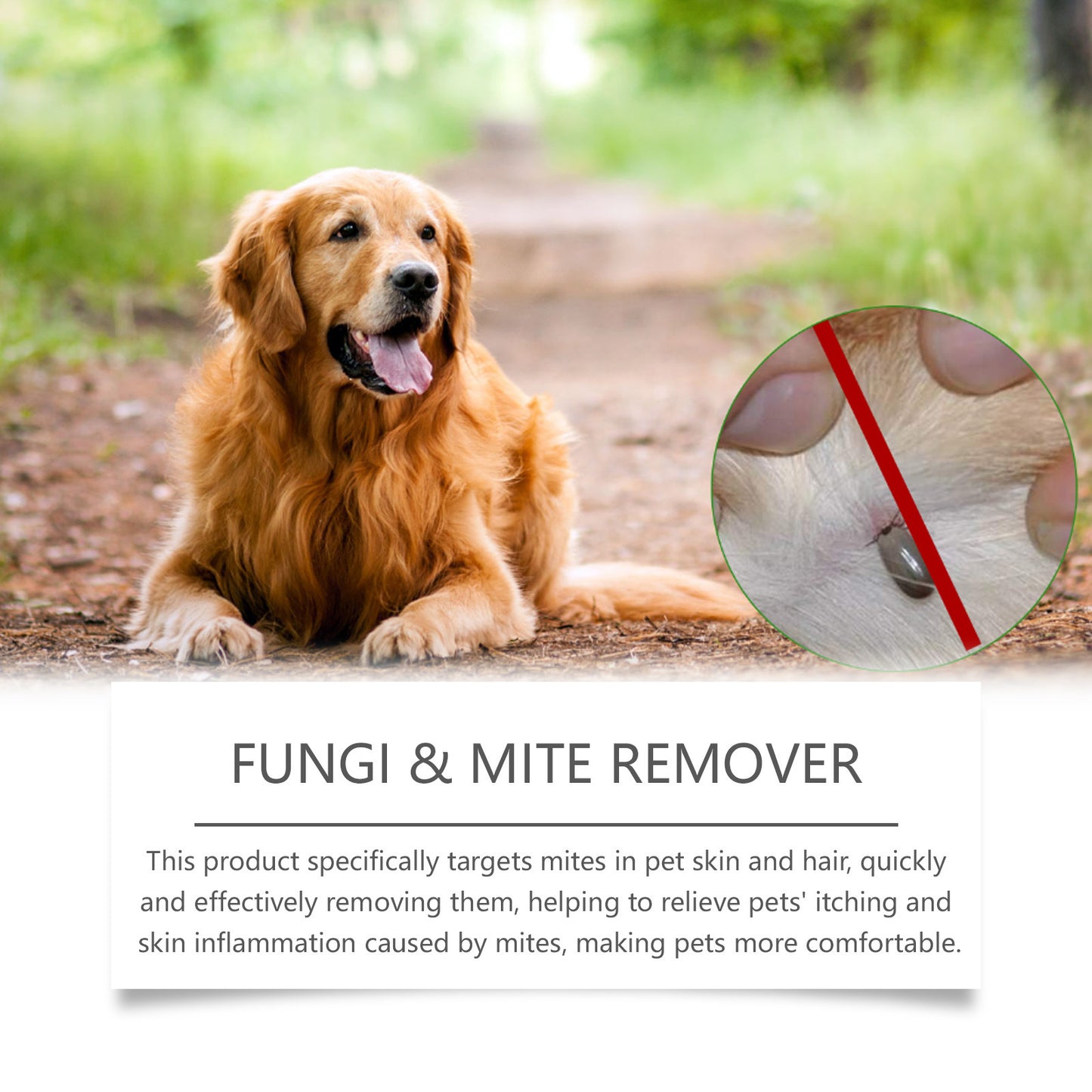 Pet Anti-mite Cream For Health Care