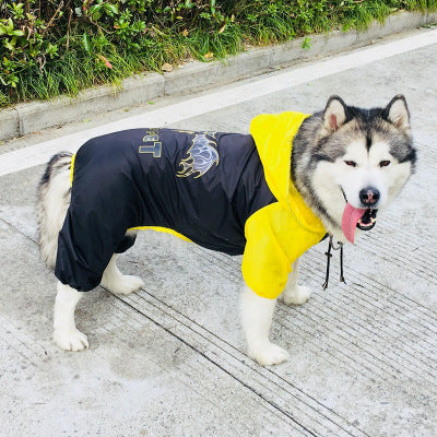 Dog raincoat