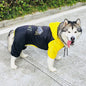 Dog raincoat