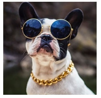 Pet Dog Jewelry Gold-plated Necklace